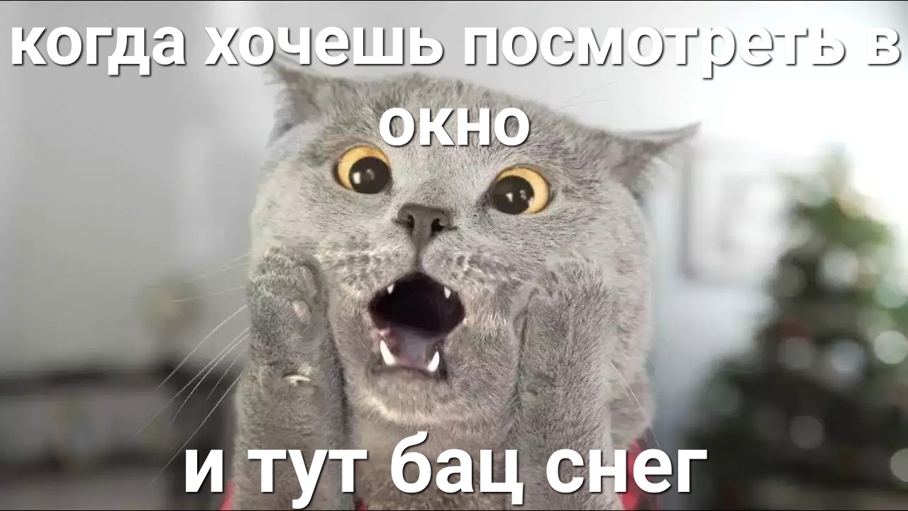 когда хочёщь пошло гр еть в 57177 Ё13