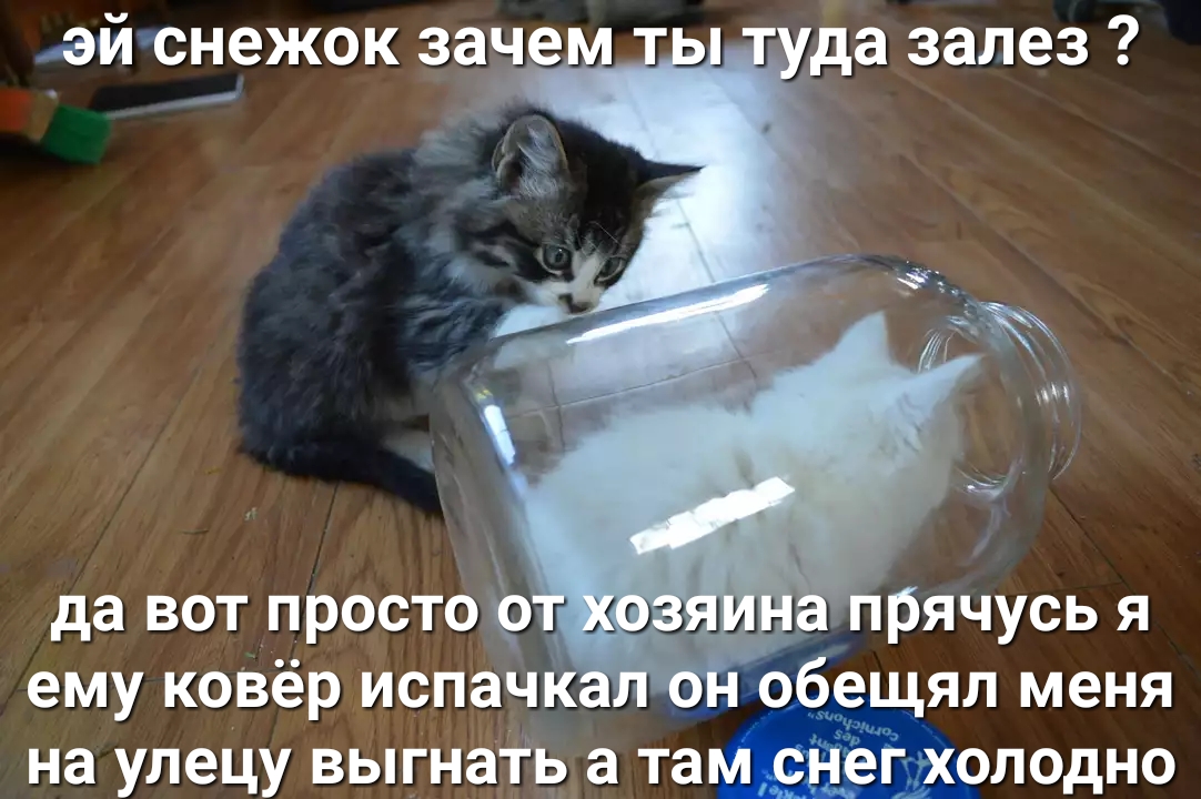 эй снежок зачем т туда залез _7 да ВОТ просто ОЪОЗЯИНЗ прячусь Я ему ковёр испачкал он обещял меня на улецу ВЬГнаТЬ а там снеГ холодно