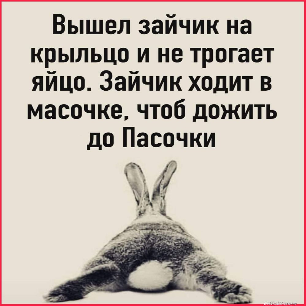 Вышел зайчик на крыльцо и не трогает яйцо Зайчик ходит в масочке чтоб дожить до Пасочки