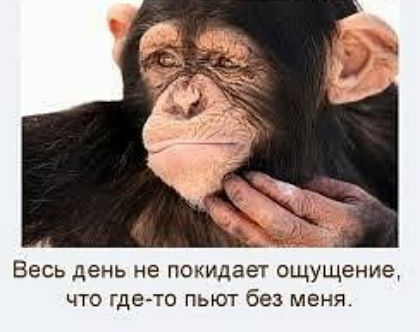 Весь день не покидает ощущение что где то пьют без меня