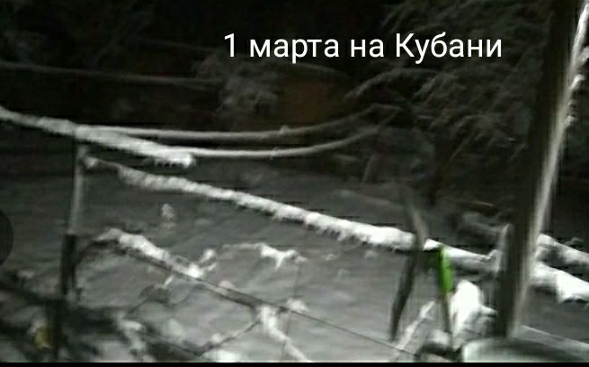 1 марта на Кубани