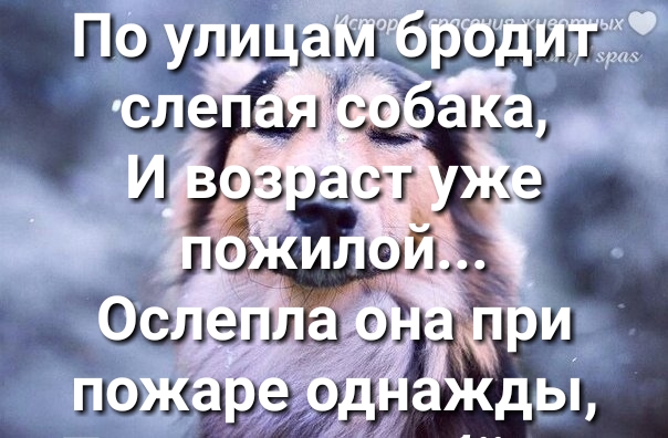 ю дьцмщуэщп