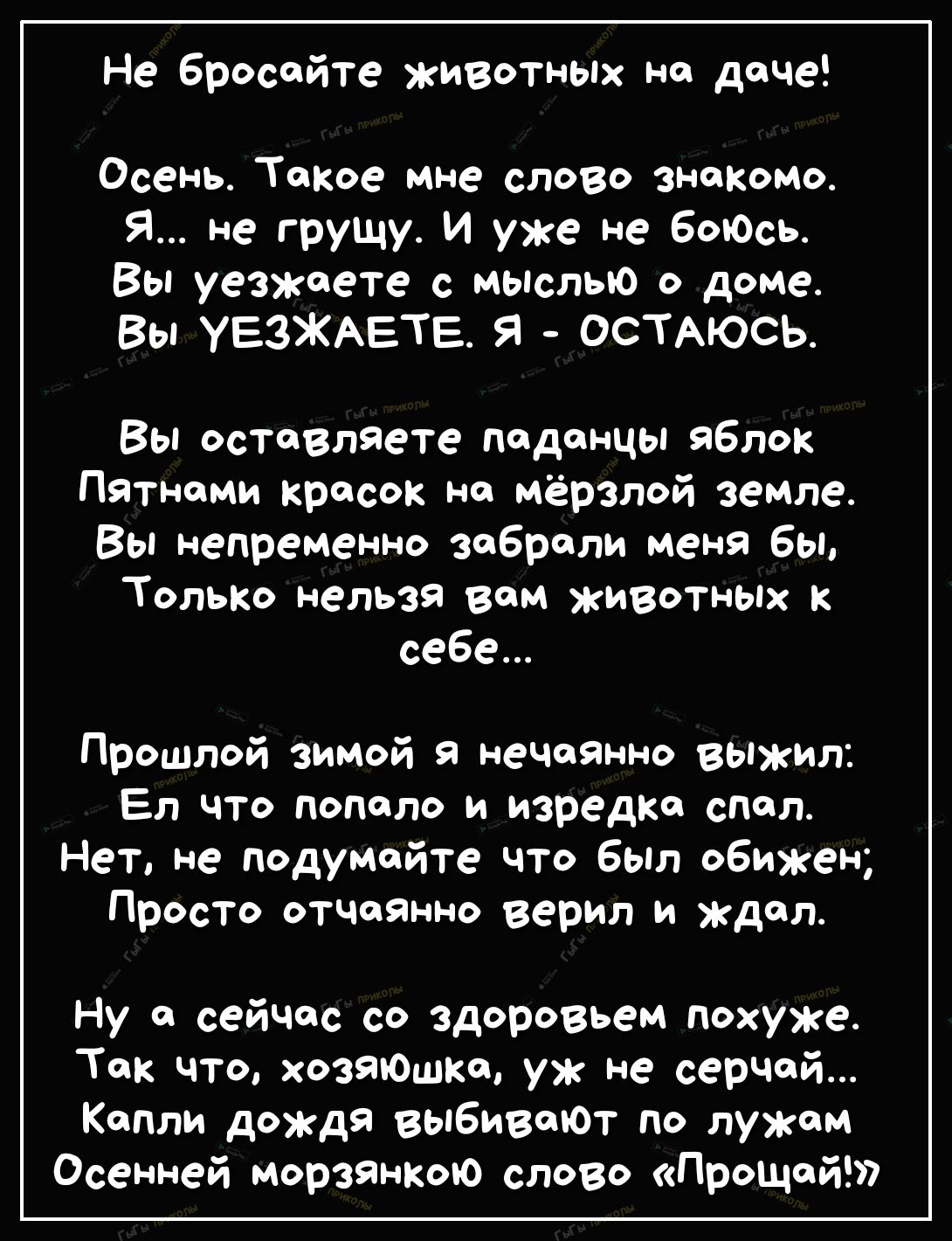 Не бросайте животных на даче Осень Такое мне слово знакомо Я не грущу И уже не боЮсь Вы уезжаете с мывлыо о доме Вы УЕЗЖАЕТЕ Я ОСТАЮСЬ Вы оставляете леденцы яблок Пятноми красок но мёрзлой земле Вы непременно забрали меня бы ТОЛЬКО нельзя вом животных к себе Прошлой зимой нечаянно выжил Ел что попало и изредка спел Нет не подумайте что был обижен Просто отчаянно верил и ждал Ну 0 сейчас со здоровь