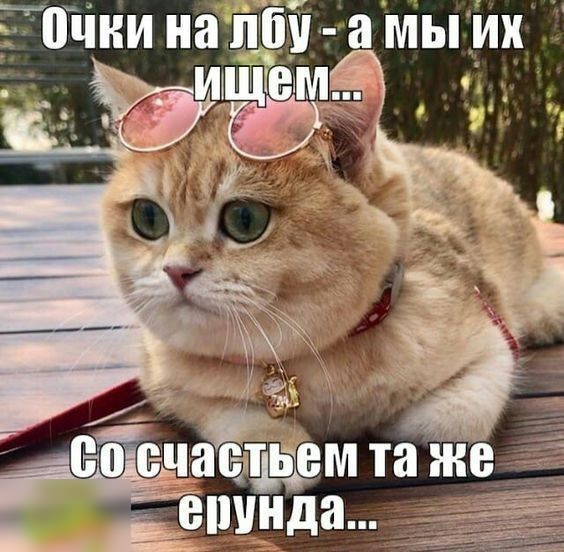 дойни напб да мы их