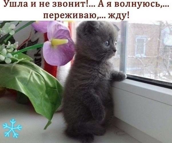 Ушла и не звонит А я волнуюсь переживаю жду