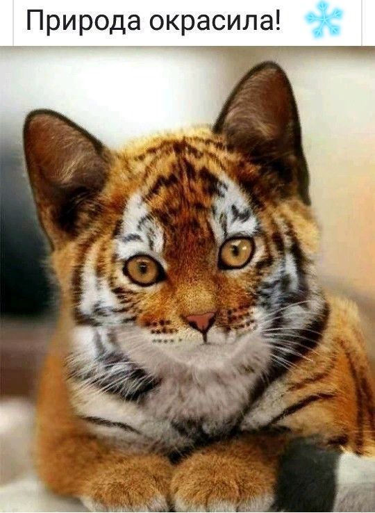 Природа окрасила