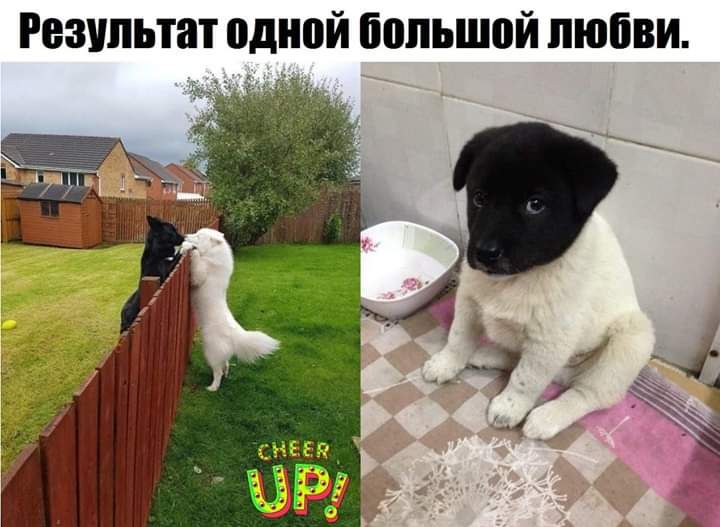 Результат одной большой любви