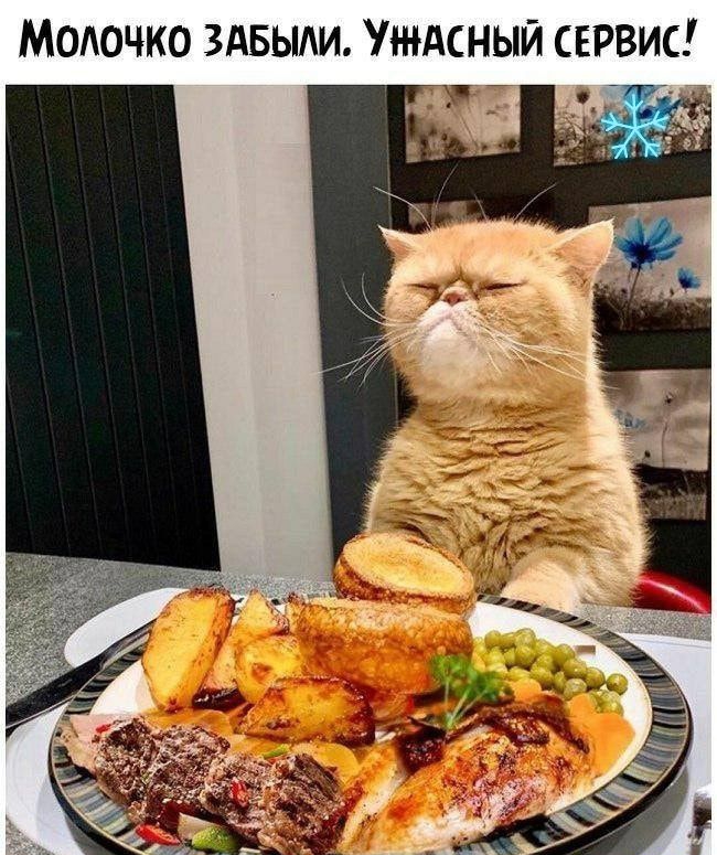 МОАОЧКО ЗАБЫЛИ УЖАСНЫЙ СЕРВИС