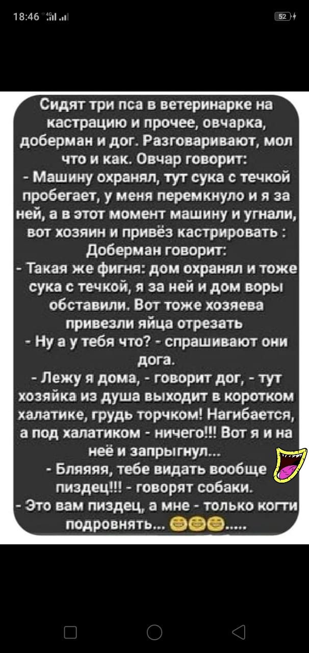 1846 57 Сидят три пса в ветеринарке на кастрацию и прочее овчарка доберман и дог Разговаривают мол что и как Овчар говорит Машину охранял тут сука течкой пробегает у меня перемкнуло и я за ней а в этот момент машину и угнали вот хозяин и привёз кастрировать доберман говорит Такая же фигня дом охранял и тоже сука течкой я за ней и дом воры обставили Вот тоже хозяева привезли яйца отрезать Ну а у те
