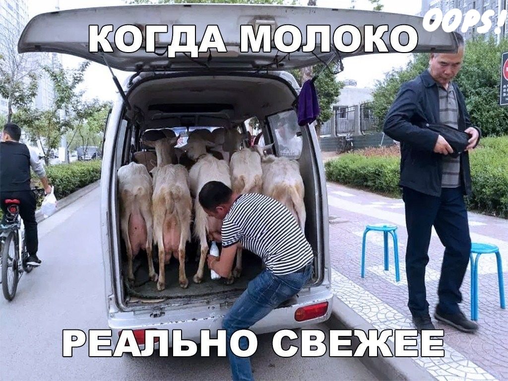 _ _ ёАЁ _