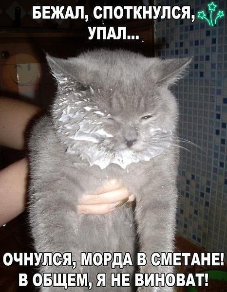 ввждл споткнулся УПАЛ_