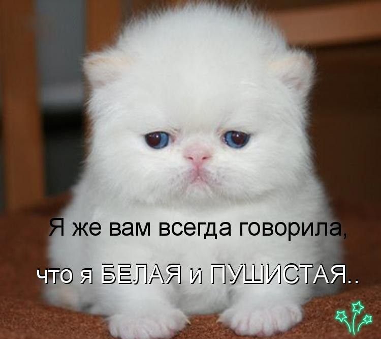 7Я