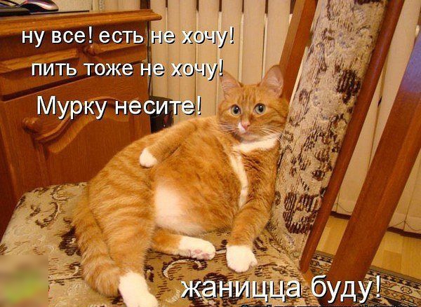 ну все естьд пить тоже ъ і Мурку неси О