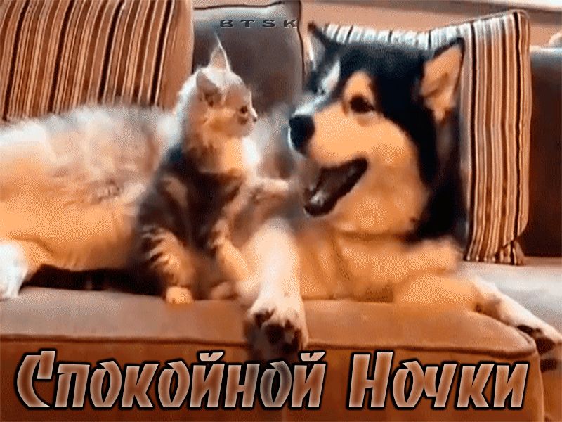 УГ И и г 3 _ Чёдцчёщщтиь _ к йй Щ