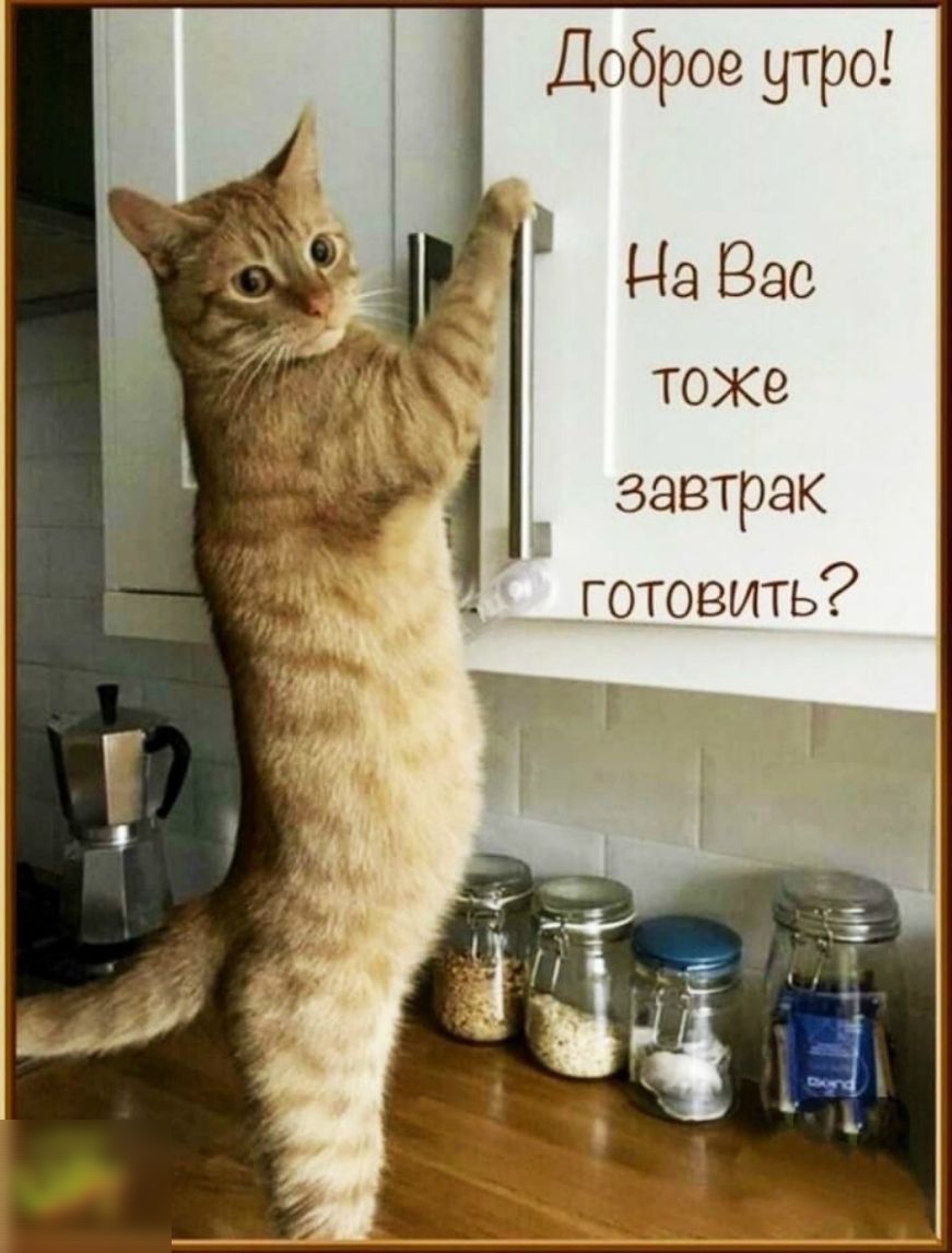 Доброе утро Ё На Вао тоже завтрак готовить