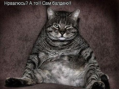 Нревпюсь А то Сам