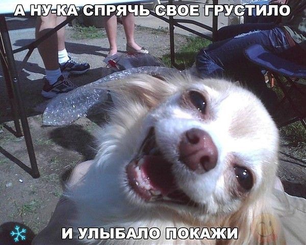 вёЁЁъцчти ЛЪ