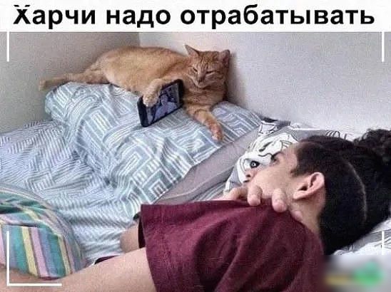 Харчи надо отрабатывать