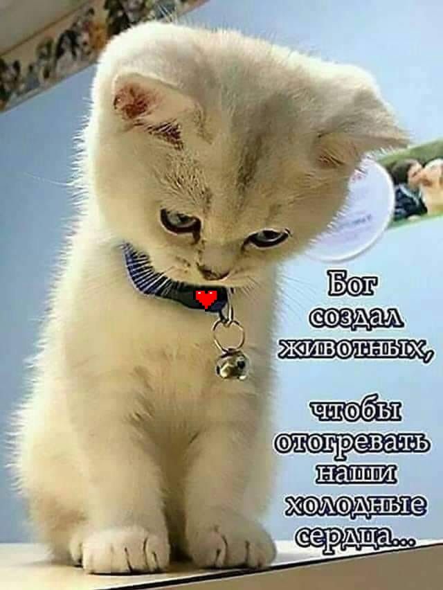 ЗАЗА ЖИВФТ шьщ тсогревать ХФАФАНЪЮ СЗ Щ1