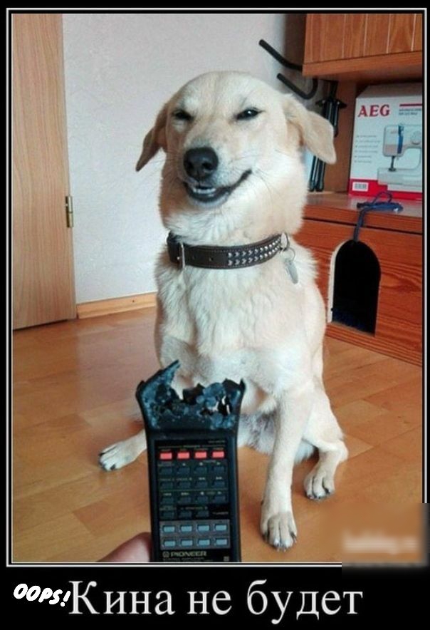Кина не будет