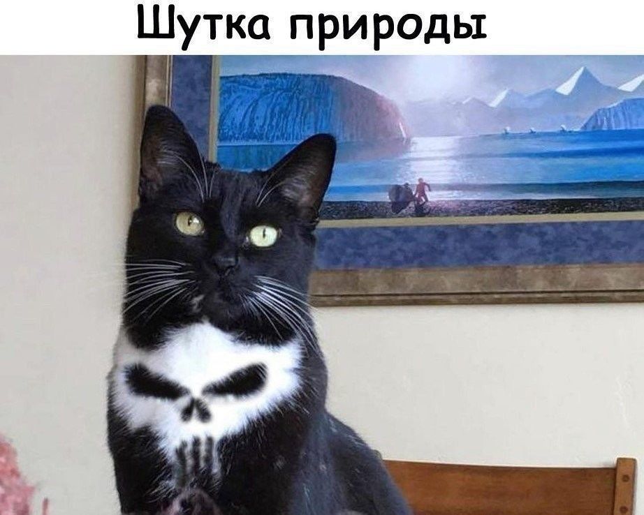 Шутка природы Ы