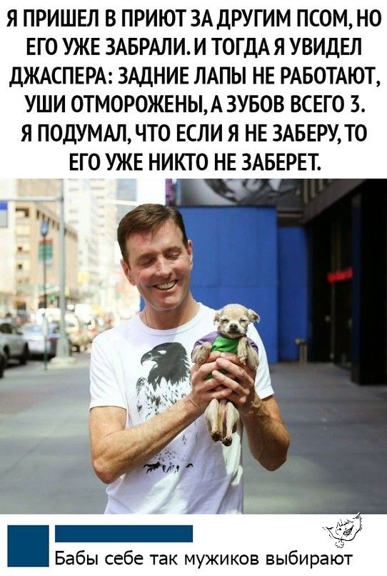 Я ПРИШЕЛ В ПРИЮТ ЗА ДРУГИМ ПСОМ НО ЕГО УЖЕ ЗАБРАЛИ И ТОГДА Я УВИДЕЛ ДЖАСПЕРА ЗАДНИЕ ЛАПЫ НЕ РАБОТАЮТ УШИ ОТМОРОЖЕНЫА3УБОВ ВСЕГО 3 Я ПОДУМАЛ ЧТО ЕСЛИ Я НЕ 3АБЕРУТО ЕГО УЖЕ НИКТО НЕ ЗАБЕРЕТ Бабы себе так мужиков выбирают