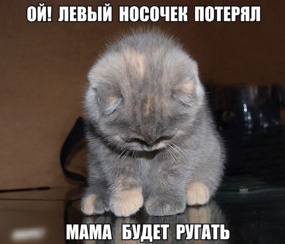 ой ЛЕВЫЙ ВЫШЕ ПВТЕНШ МАШ шип ищить