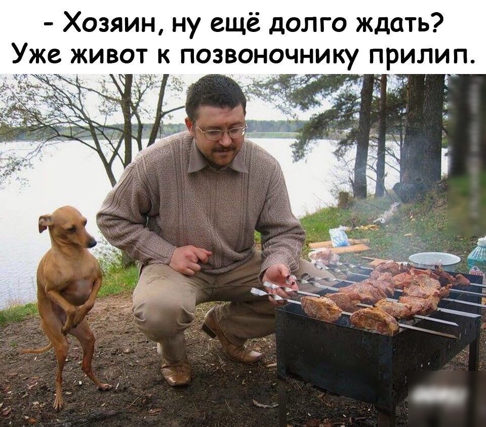 Хозяин ну ещё долго ждать Уже живот к позвоночнику прилип _