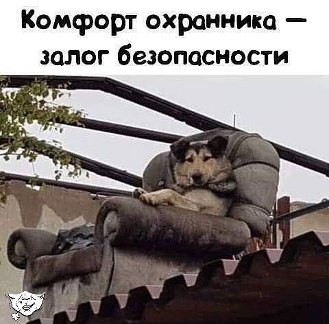 Комфорт охранника залог безопасности