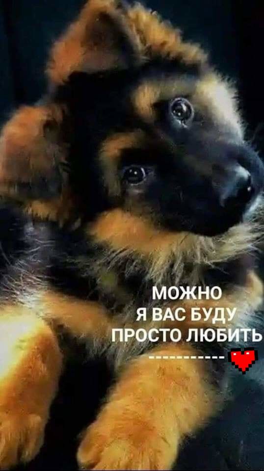 п