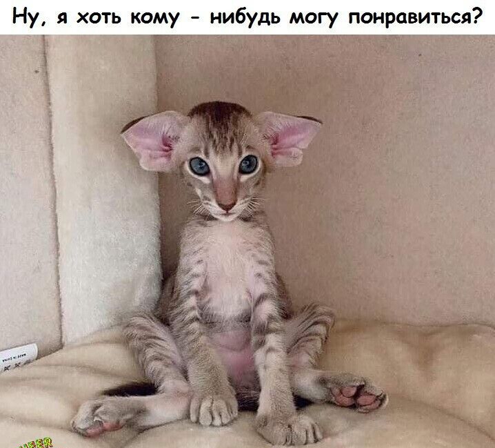 Ну я хоть кому нибудь могу понравиться