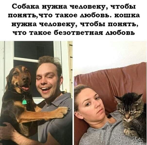 Собака нужна чедовену чтобы понятъчто такое мобовъ кошка нуп а чсмовеку чтобы понять что такое безответная Аюбовъ