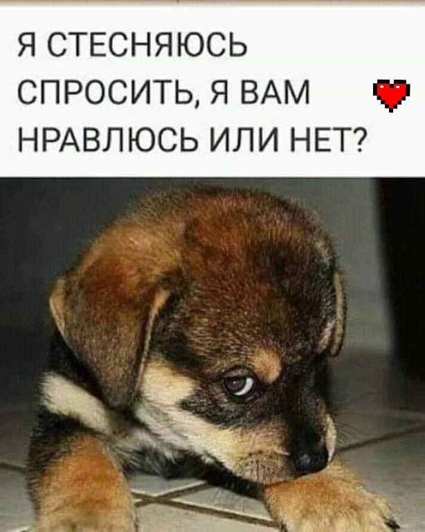 Я СТЕСНЯЮСЬ СПРОСИТЬ Я ВАМ НРАВЛЮСЬ ИЛИ НЕТ