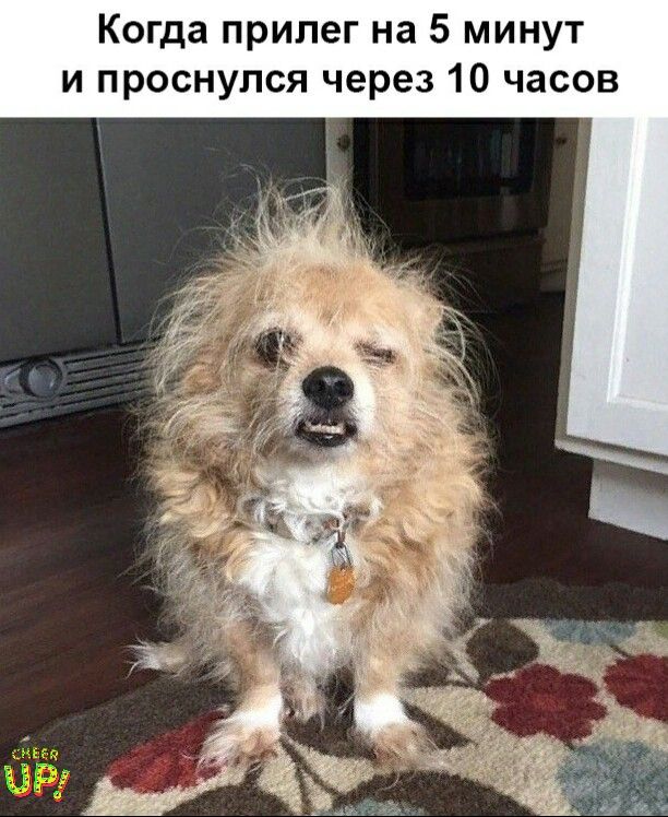 Когда прилег на 5 минут и проснулся через 10 часов