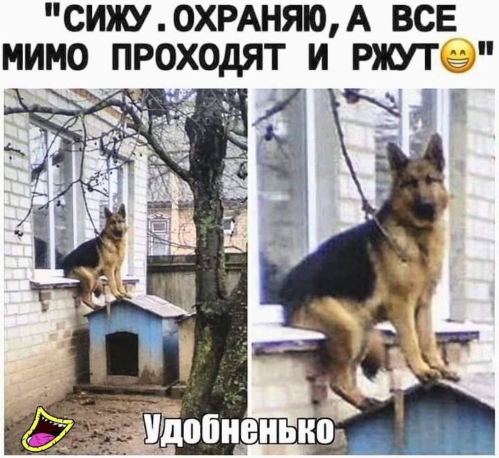 СИЖУ 0ХРАНЯЮ А ВСЕ МИМО ПРОХОДЯТ И