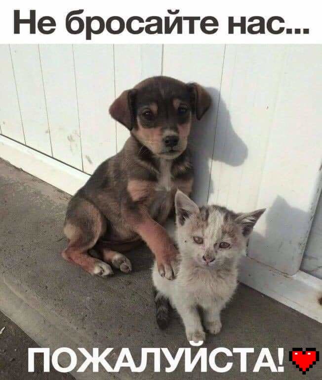 Не бросайте нас ПОЖАЛУЙСТА