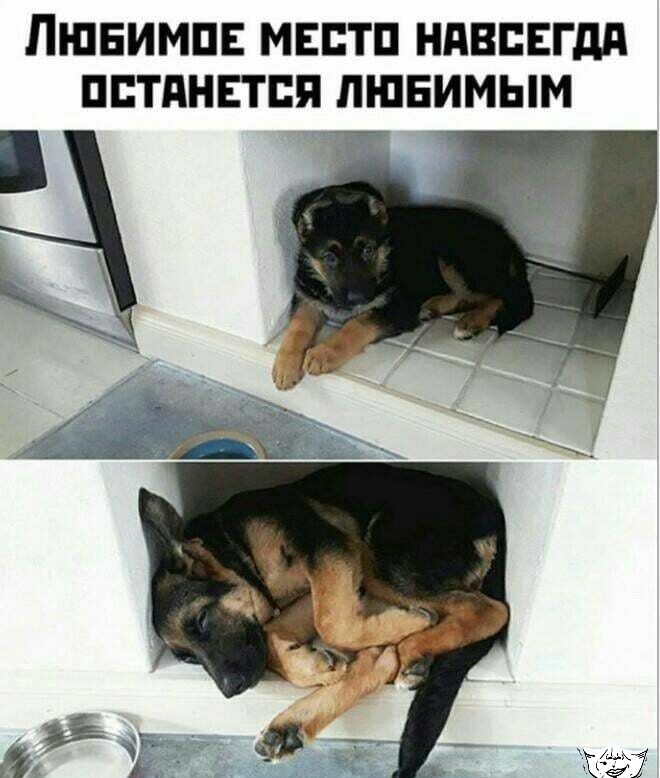 ЛШЕИМПЕ МЕБТП НАВСЕГДА ПЕТПНЕТЕЯ ЛЮБИМЫМ