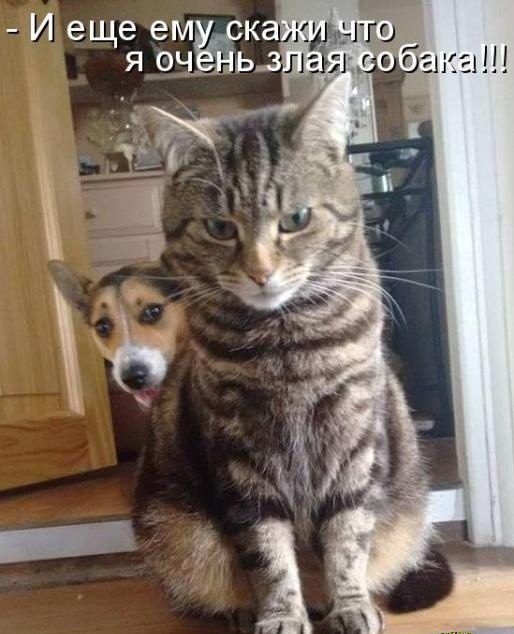 И еще ем я очёьз и