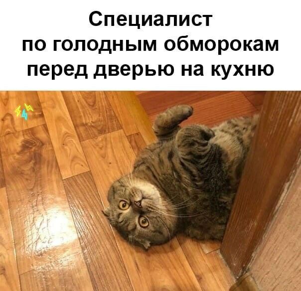 Специалист по голодным обморокам перед дверью на кухню