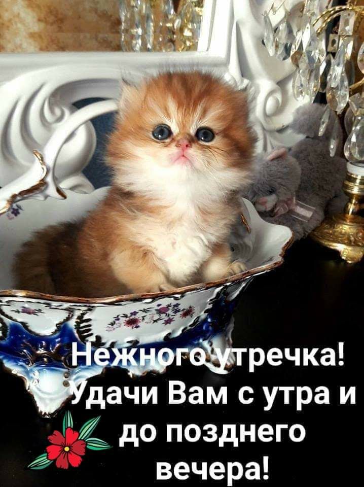 т е_ д _гзэтречка дачи Вам с утра и 4 до позднего вечера _