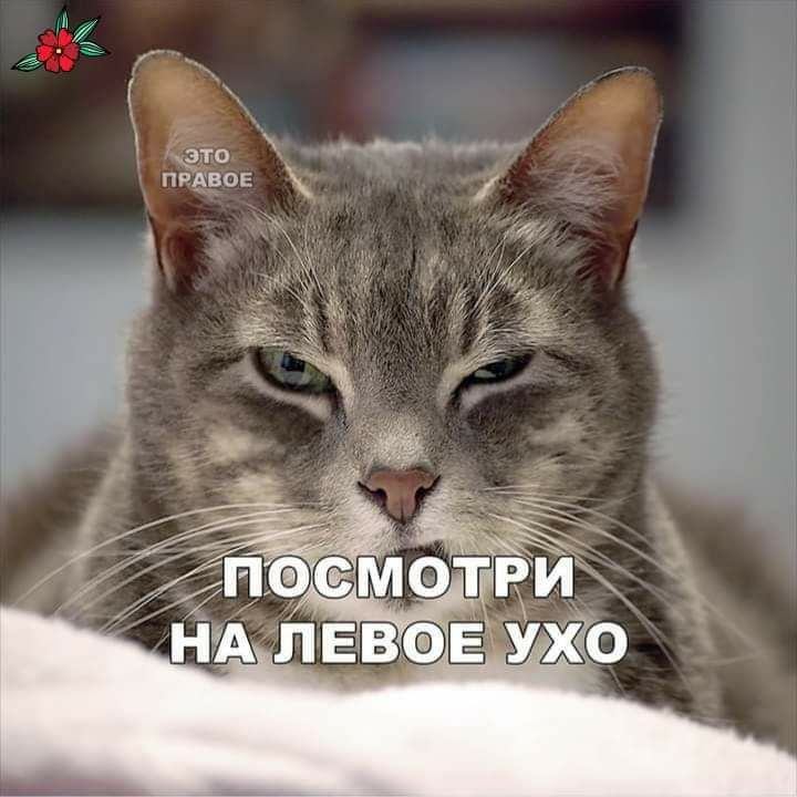 зто прдвое