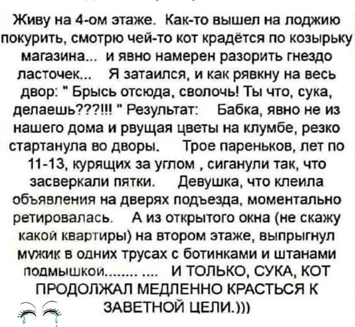 Живу на 4ом этаже Както вышел на лоджию покурить смотрю чейто кот крадется по козырьку магазина и явно намерен разорить гнездо ласточек Я затаился и как рявкну на весь двор Брысь отсюда сволочь Ты что сука депаешь Результат Бабка явно не из нашего дома и рвущая цветы на клумбе резко стартанула во дворы Трое пареньков лет по 11 13 курящих за углом сиганули так что засверкали пятки Девушка что кпеил