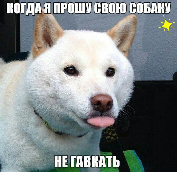 ЕВПЮ ЮБАШ