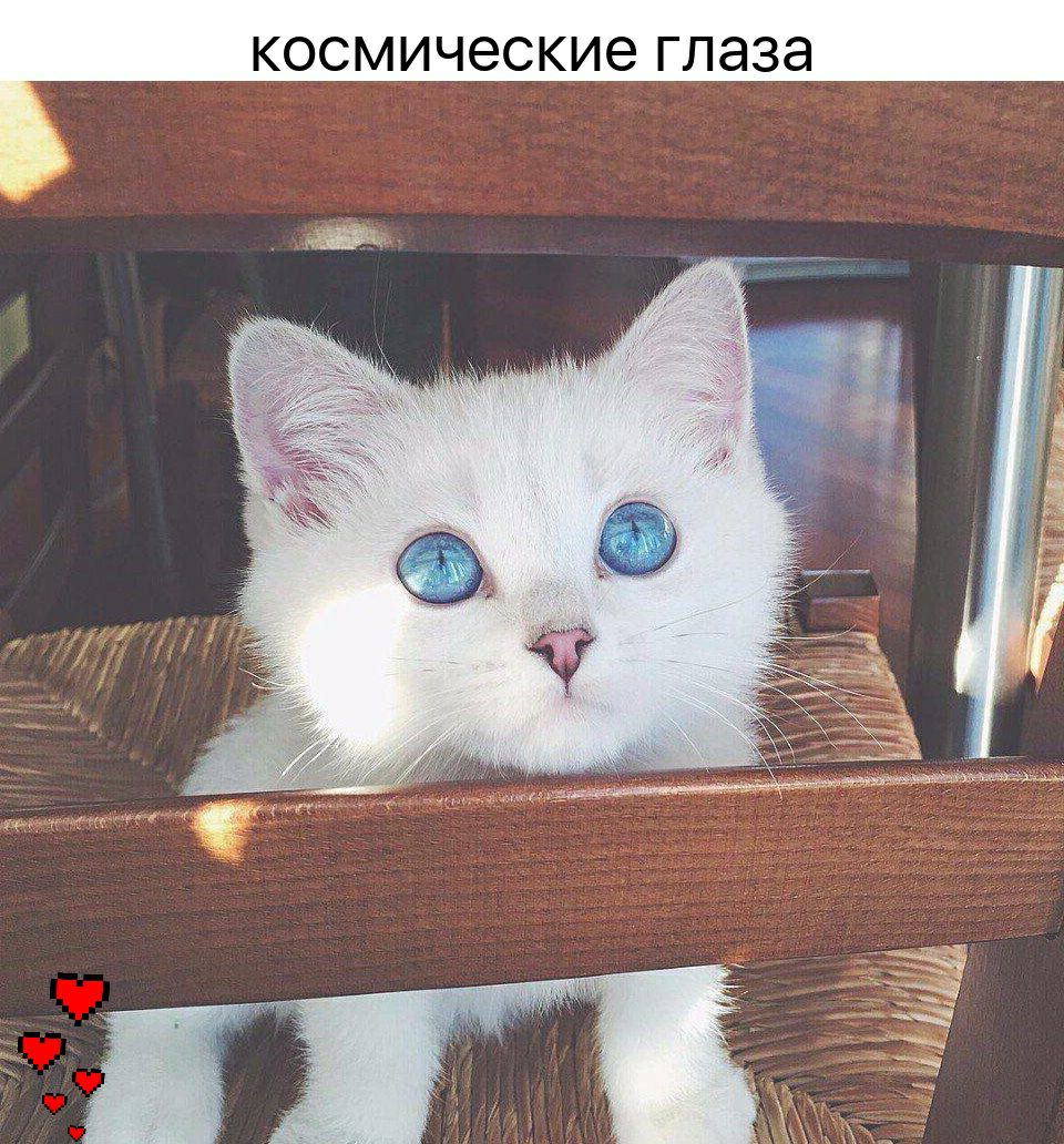 КОСМИЧЭСКИЭ глаза