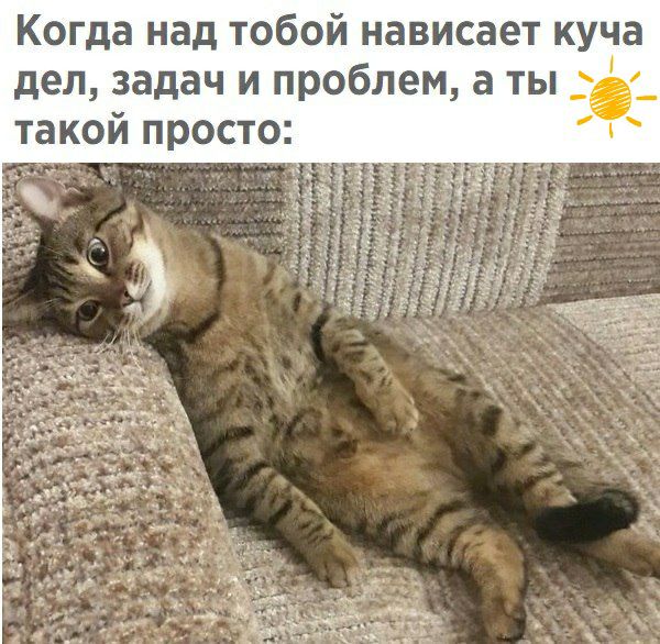 Когда над тобой нависает куча дел задач и проблем а ты _ такой прост0