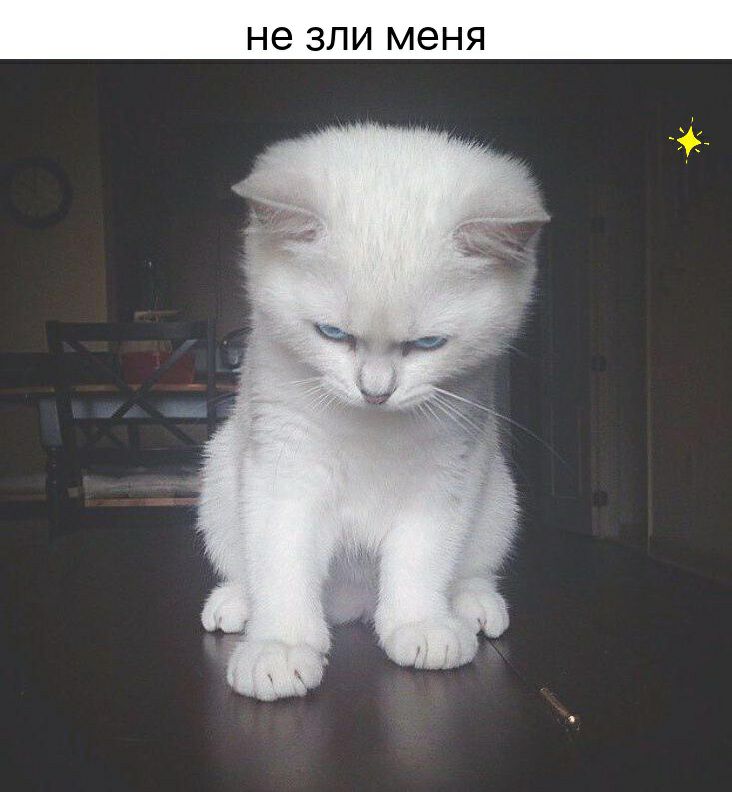 не ЗЛИ МЭНЯ
