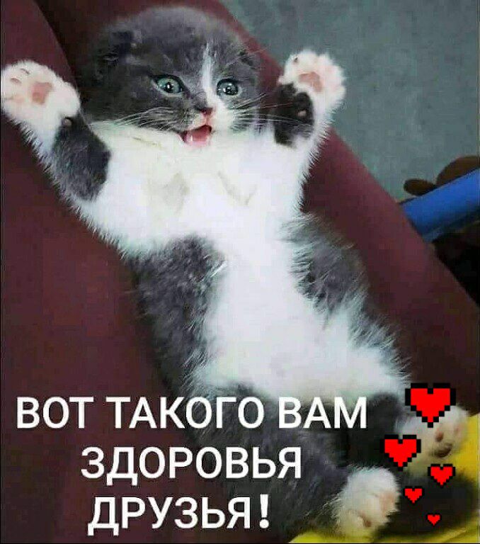 вот ТАКОГО здоровья ДРУЗЬЯ