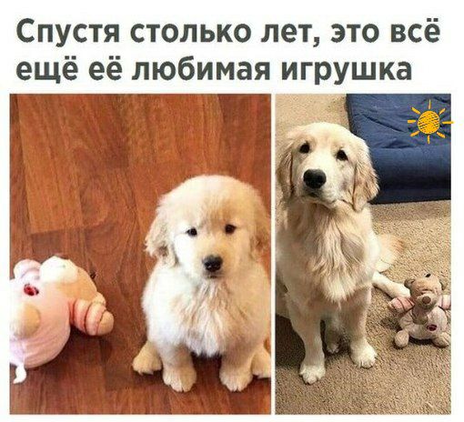 Спустя столько лет это всё ещё её любимая игрушка