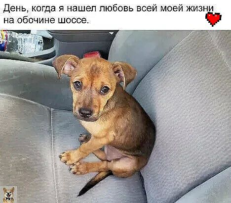 День когда я нашел любовь всей моей жизни на обочине шоссе