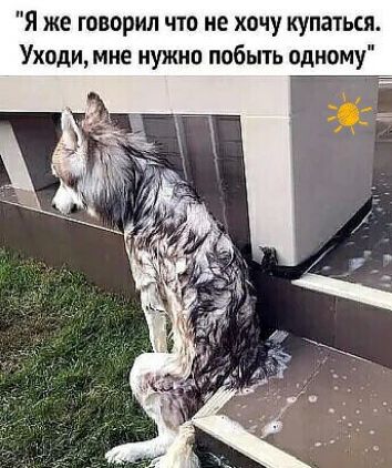 Я же говорил чт не хочу купаться Уходи мне нужно побыть одному